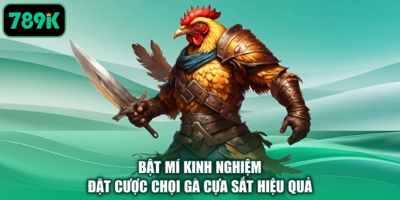 Bật mí kinh nghiệm đặt cược chọi gà cựa sắt hiệu quả