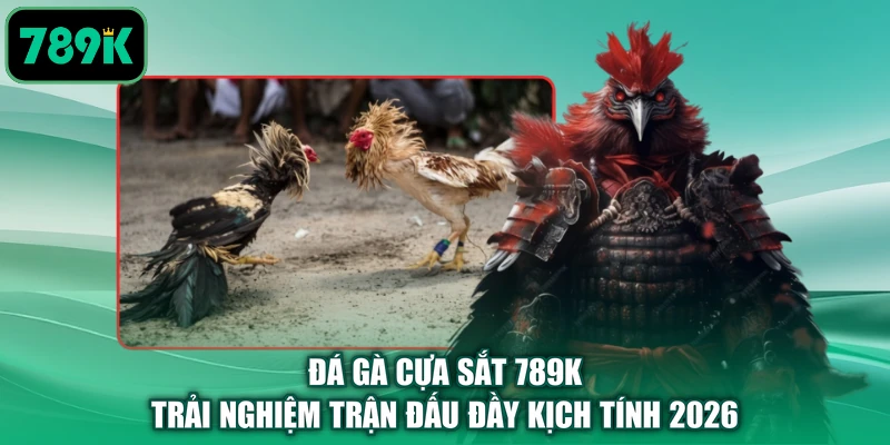 Đá Gà Cựa Sắt 789K - Trải Nghiệm Trận Đấu Đầy Kịch Tính 2026