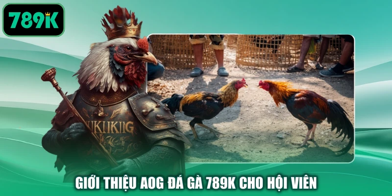 Giới thiệu AOG đá gà 789K cho hội viên