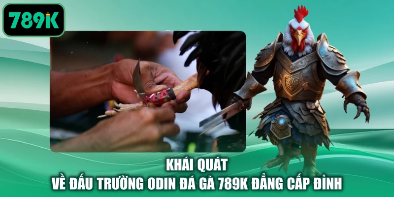 Khái quát về đấu trường ODIN đá gà 789K đẳng cấp đỉnh