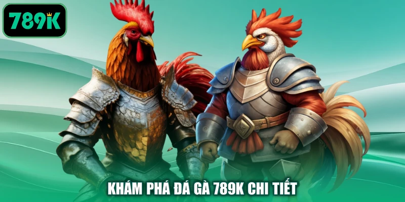Khám phá đá gà 789K chi tiết