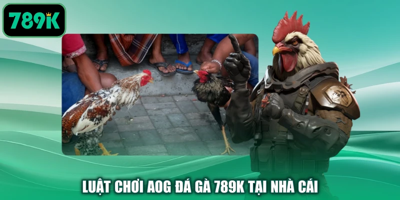 Luật chơi AOG đá gà 789K tại nhà cái