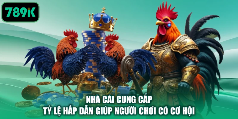 Nhà cái cung cấp tỷ lệ hấp dẫn giúp người chơi có cơ hội