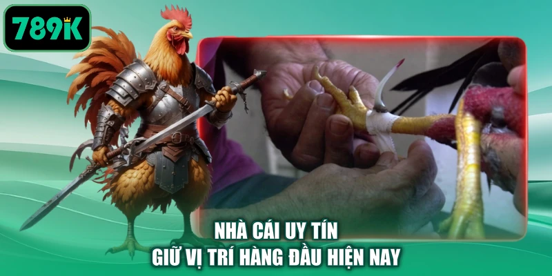 Nhà cái uy tín giữ vị trí hàng đầu hiện nay