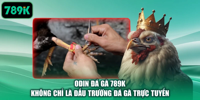 ODIN đá gà 789K không chỉ là đấu trường đá gà trực tuyến